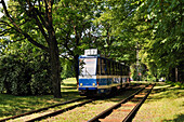 Tramway in Kalamaja district, Tallinn, Estonia, Europe