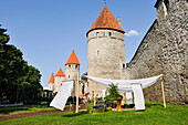 Gardens at the bottom of the towers of fortifications, UNESCO World Heritage Site, Tallinn, Estonia, Europe