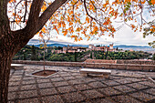 Mirador San Nicolas with orange autumn foliage in front of The Alhambra, Granada, Andalusia, Spain, Europe