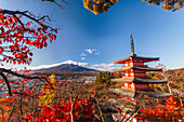 Maple trees and Mount Fuji, UNESCO World Heritage Site, in autumn with red Chureito Pagoda, Fujiyoshida, Honshu, Japan, Asia