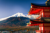 Berg Fuji,UNESCO-Weltkulturerbe,im Herbst mit roter Chureito-Pagode mit Herbstlaub,Fujiyoshida,Honshu,Japan,Asien