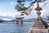 Steinlaterne und Torii-Tor,Itsukushima-Schrein,Shinto-Tempel mit schwimmendem Torii Otori,UNESCO-Weltkulturerbe,Insel Miyajima,Präfektur Hiroshima,Honshu,Japan,Asien