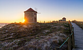 Windmühlen von Apulien bei Sonnenuntergang im Sommer,Apulien,Esposende,Braga,Norte,Portugal,Europa