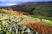 Drystone wall and moorland near Kirkstone Pass, Lake District National Park, UNESCO World Heritage Site, Cumbria, England, United Kingdom, Europe