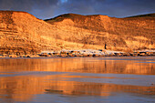 Kalksteinfelsen an der Dunraven Bay,Southerndown,Bridgend,Südwales,Vereinigtes Königreich,Europa