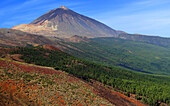 Nationalpark El Teide,UNESCO-Weltnaturerbe,Teneriffa,Kanarische Inseln,Spanien,Atlantik,Europa