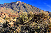 Nationalpark El Teide,UNESCO-Weltnaturerbe,Teneriffa,Kanarische Inseln,Spanien,Atlantik,Europa