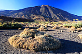 Nationalpark El Teide,UNESCO-Weltnaturerbe,Teneriffa,Kanarische Inseln,Spanien,Atlantik,Europa