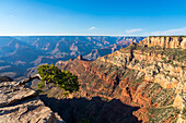 Grand Canyon,Pipe Creek Vista,Grand-Canyon-Nationalpark,UNESCO-Welterbe,Arizona,Vereinigte Staaten von Amerika,Nordamerika