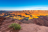 Bend of Colorado River at Dead Horse Point at sunrise, Dead Horse Point State Park, Utah, United States of America, North America