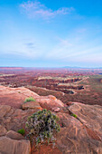 Dramatic canyon terrain at Grand View Point at dusk, Canyonlands National Park, Utah, United States of America, North America