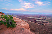 Dramatic canyon terrain at Grand View Point at dusk, Canyonlands National Park, Utah, United States of America, North America