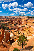 Panoramablick auf Hoodoos und Felsformationen,Sunrise Point,Bryce Canyon National Park,Utah,Vereinigte Staaten von Amerika,Nordamerika