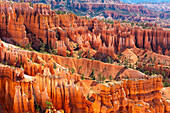 Hoodoos im Bryce Canyon Amphitheater nach Sonnenaufgang,Sunset Point,Bryce Canyon National Park,Utah,Vereinigte Staaten von Amerika,Nordamerika