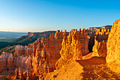 Hoodoos im Bryce Canyon Amphitheater bei Sonnenaufgang,Sunset Point,Bryce Canyon National Park,Utah,Vereinigte Staaten von Amerika,Nordamerika