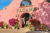 Entrance to Tacama Winery, Ica, Peru, South America