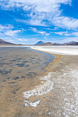 Die Vulkane El Misti und Chachani von den Salinen des Salinas y Aguada Blanca-Nationalreservats aus gesehen,Region Arequipa,Peru,Südamerika