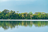 Sandoval-See,Tambopata-Nationalreservat,Puerto Maldonado,Madre de Dios,Peru,Südamerika