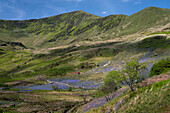 Cwm Pennant in spring backed by the Nantlle Ridge, Cwm Pennant, Snowdonia National Park (Eryri), Gwynedd, North Wales, United Kingdom, Europe