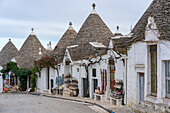 Alberobello iconic old Trullo and Trulli white houses with stone ceilings in conical shape, UNESCO World Heritage Site, Alberobello, Apulia, Italy, Europe