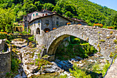 Fabbriche di Vallico, Ponte Colandi, 14th century pedestrian bridge, Turrite Cava stream, Garfagnana, Tuscany, Italy, Europe