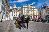 Pferdegespann (Fiaker),Platz Am Hof,Wien,Österreich,Europa