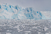 Eisberge und Brucheis in Kayak Cove,während der australischen Sommermonate,Brabant Island,nahe der Antarktischen Halbinsel,Antarktis,Polarregionen