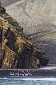 Chinstrap penguin (Pygoscelis antarctica) breeding colony at Baily Head on Deception Island, Antarctica, Southern Ocean, Polar Regions