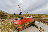 Die Redwing am Strand von West Point Island auf den Falklandinseln,Südatlantik,Südamerika