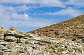 Views of lichen covered rocks on New Island in the Falkland Islands, South Atlantic Ocean, South America