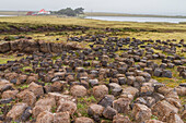 Ein Rundgang durch die Long Island Farm außerhalb von Stanley auf den Falklandinseln,Südatlantik,Südamerika