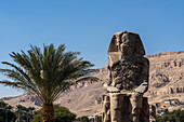 Colossi of Memmon, Luxor, Egypt.