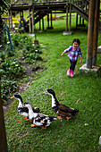 Young girl running behind a group of ducks in Colombia