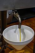 Filtered extra virgin olive oil is dispensed into a container after processing in an olive oil mill in Italy.