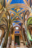 Rome, Italy, July 2017, Visitors admire the intricate ceiling art of Santa Maria Sopra Minerva Basilica in Rome, showcasing its historical beauty and craftsmanship.