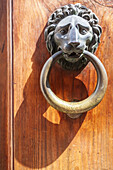 Close up of a lion-shaped bronze door knocker in Rome, Italy.