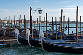 The prows of gondolas moored and covered along the Giudecca Canal in Venice, Italy.