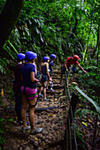 Canyoning und Abseilen von Wasserfällen mit Pure Trek in La Fortuna,Costa Rica