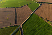 Aerial view of the fields in La Alfranca area in Zaragoza, Spain