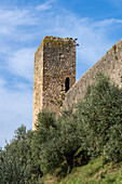 Wachturm auf der Stadtmauer der mittelalterlichen Festungsstadt Monteriggioni,Siena,Toskana,Italien. Von außen betrachtet.