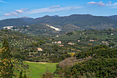 Olive groves or orchards in the hilly Fara in Sabina area of Lazio, Italy.