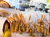 Fresh prawns on ice at a sidewalk cafe in Venice, Italy.