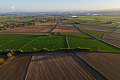 Aerial view of the fields in La Alfranca area in Zaragoza, Spain