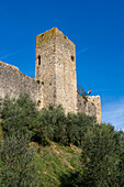 Wachtürme auf der Mauer der mittelalterlichen Stadt Monteriggioni,Siena,Toskana,Italien. Von außen betrachtet.