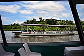 Crocodile and fauna tour boat in Tarcoles River