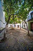 A serene scene of the San Lazaro Cross in Santa Marta Plaza, Sevilla. The historic setting is highlighted by cobblestones, lush orange trees, and charming old architecture.