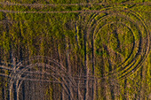 Aerial view of tractor marks on the ground of the fields in La Alfranca area in Zaragoza, Spain