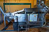 A washing machine cleans the olives for processing in an olive oil mill in Italy.