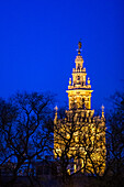 A stunning view of La Giralda in Seville, Spain, shining brightly against the night sky, framed by bare winter trees. This iconic landmark glows with historical elegance and architectural beauty.