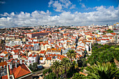 Genießen Sie den atemberaubenden Blick auf Lissabon vom Miradouro da Graça,der die lebendige Architektur und die Dächer des Alfama-Viertels hervorhebt.